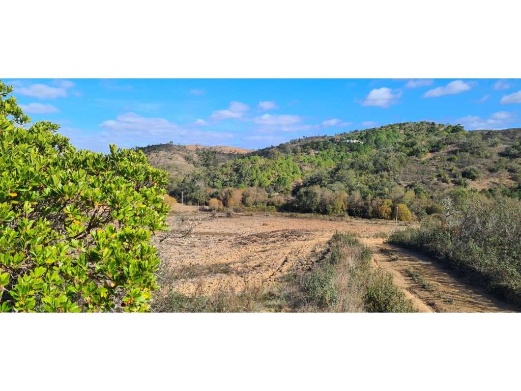 Monte Alentejano com projecto-10