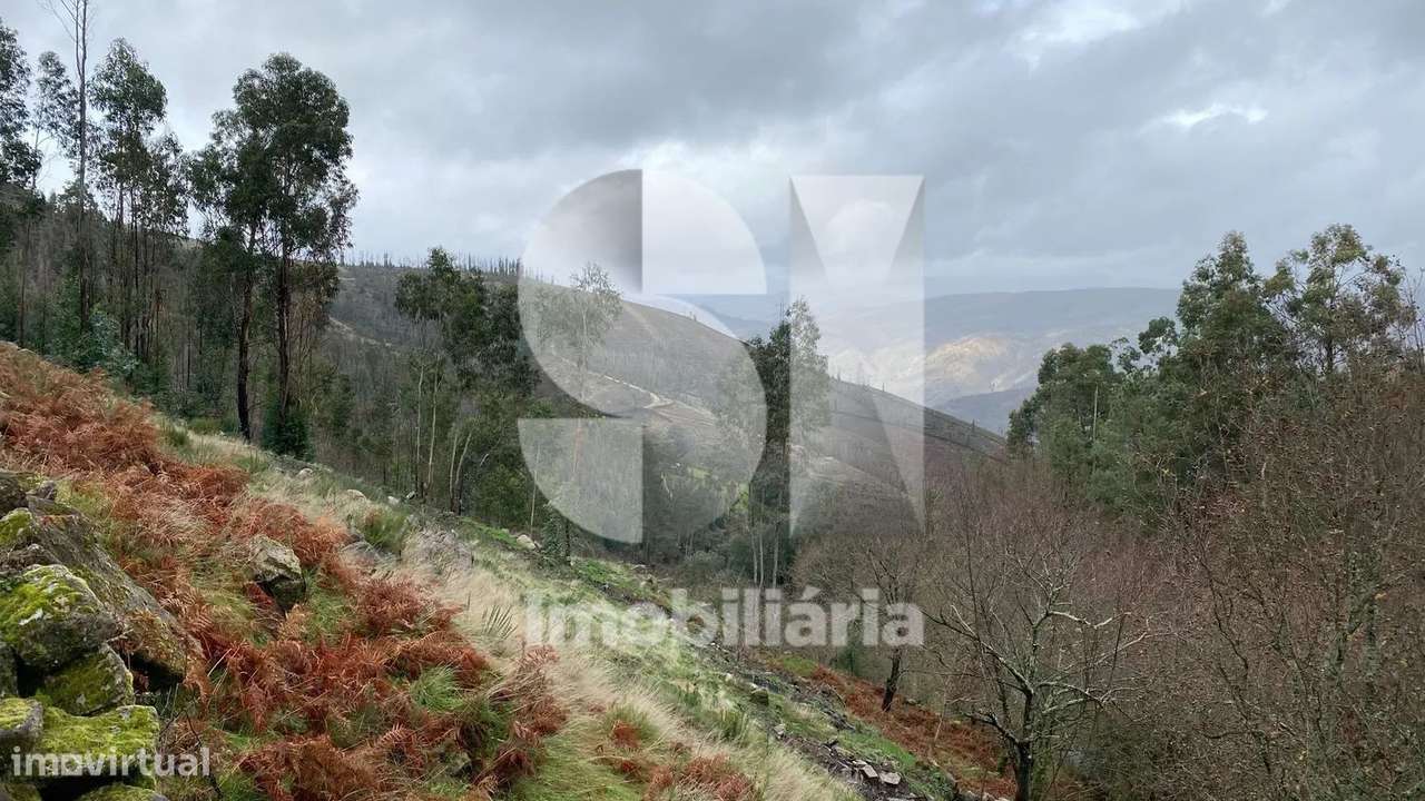 Quinta agrícola com ruína de apoio à agricultura - Grande imagem: 5/6
