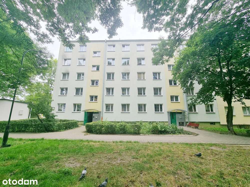 Apartment in Chełm - View 2