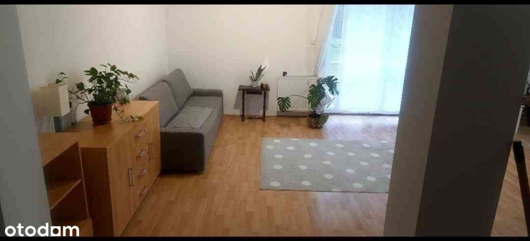 Wynajmę segment w Czarnym Lesie z poddaszem, na uboczu. Okazja . - Pełny obrazek: 4/8