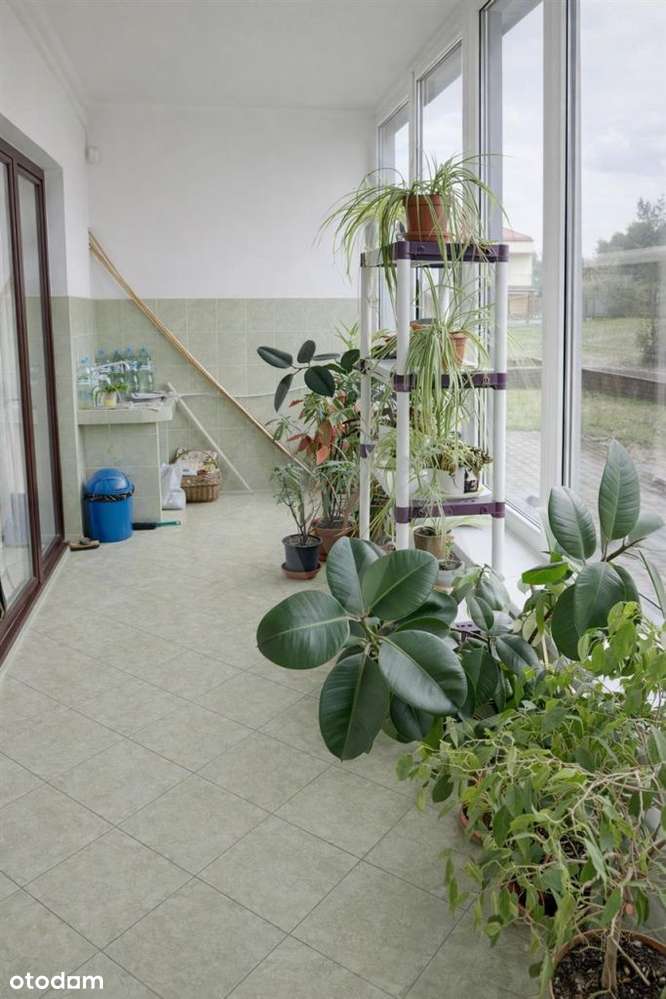 Dom 250m 2,5 km do Pkp Grodzisk-12