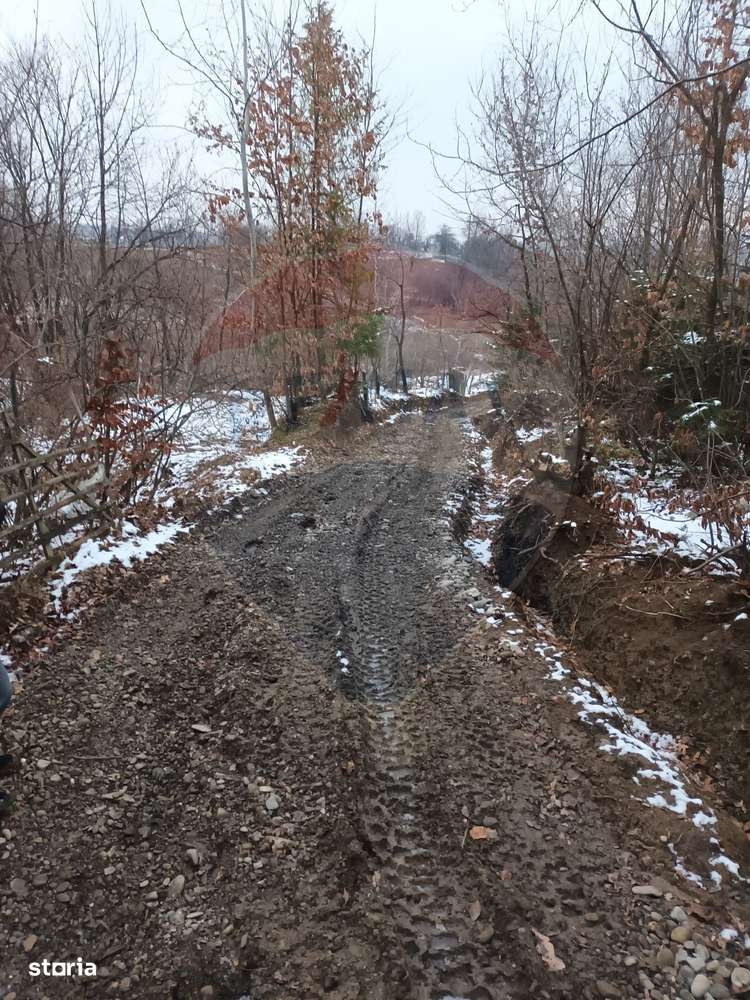 Teren 11,542mp Cacica / Drumul Forestier - Imagine principală: 3/20