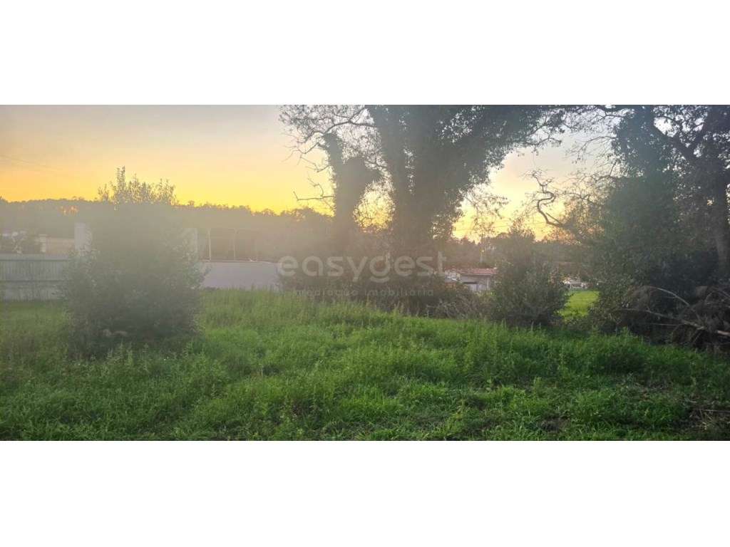 Terreno localizado em Souto da Carpalhosa - Grande imagem: 4/7