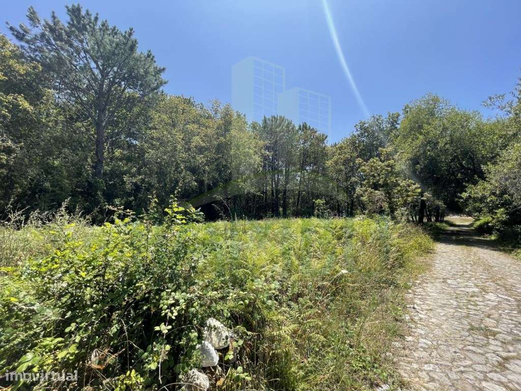 Terreno de construção em Afife. - Grande imagem: 1/21
