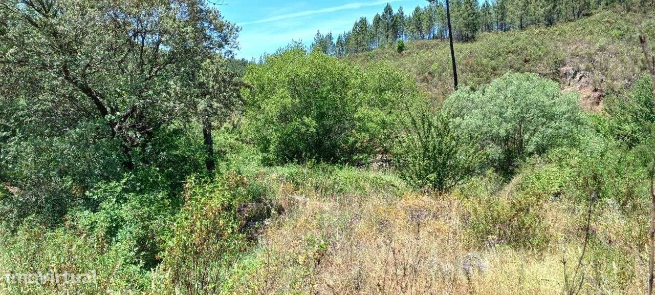 Terreno - Grande imagem: 3/4