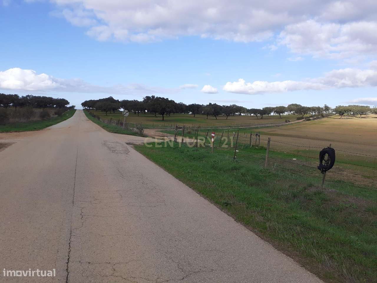 Baldio do Peral e Courela das Caldeiras - Cabeça de Carneiro - Grande imagem: 3/27