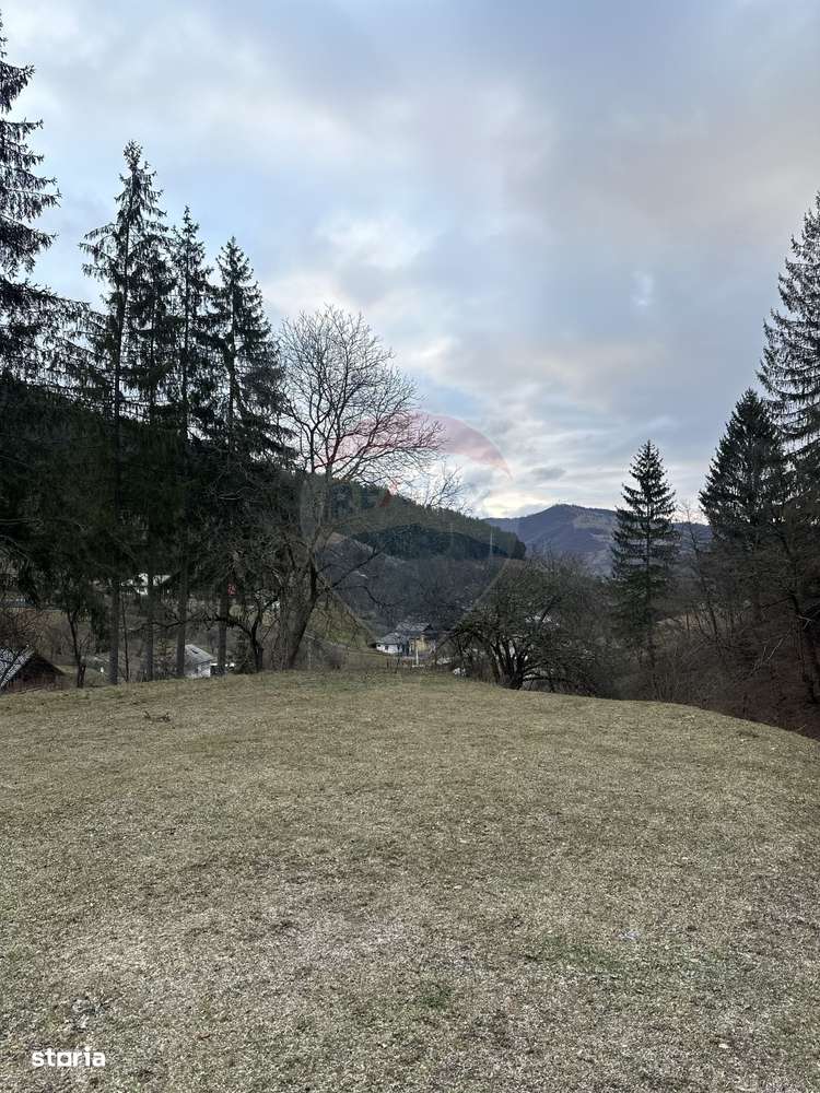 Teren 2,000mp Stejaru (Pangarati) / None - Imagine principală: 3/7