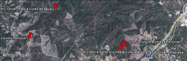 Conjunto 4 terrenos em Castelo Branco: 2 Retaxo + 2 Sarnadas de Rodao-19