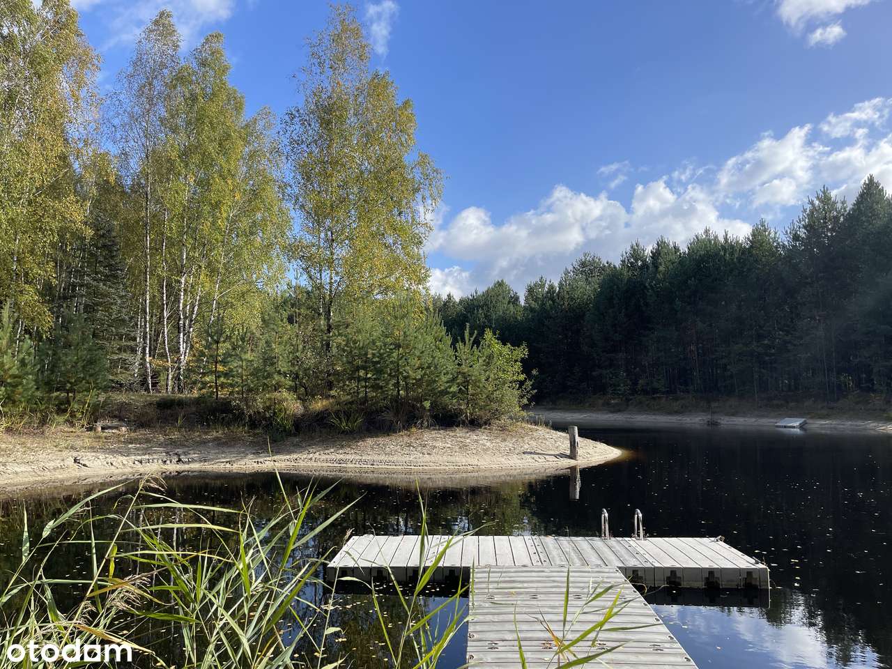 Posiadłość pod Warszawą z Basenem, własnym lasem i jeziorem.-9