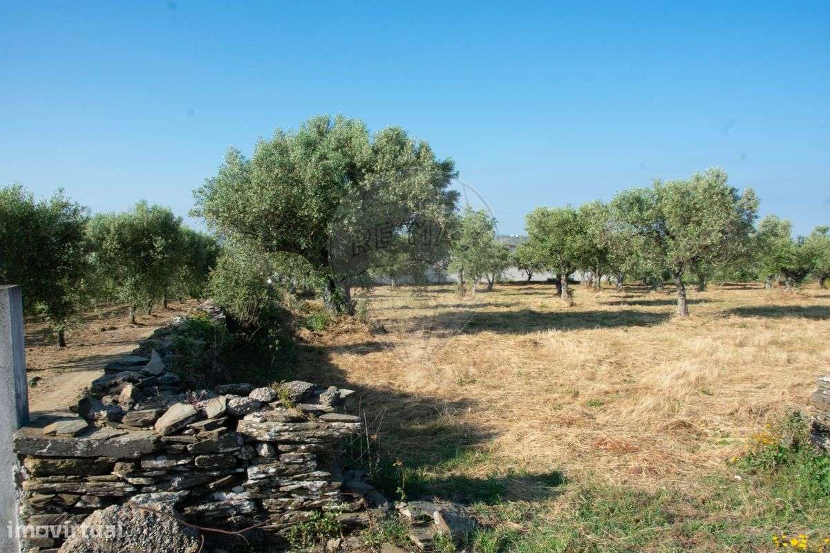 Terreno  para venda - Grande imagem: 2/12