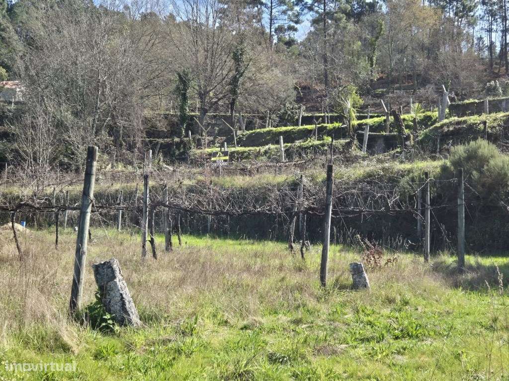 Terreno com Projeto Aprovado - Grande imagem: 5/10