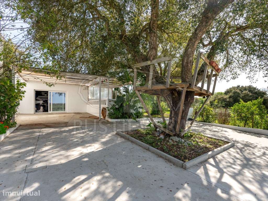 Quinta com duas casas, piscina, ribeira e AgroFloresta | Montemor-o...-6