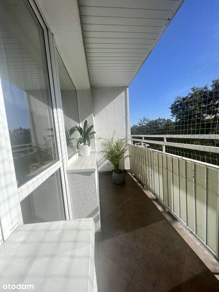 Jasne, blisko centrum , umeblowane !-11