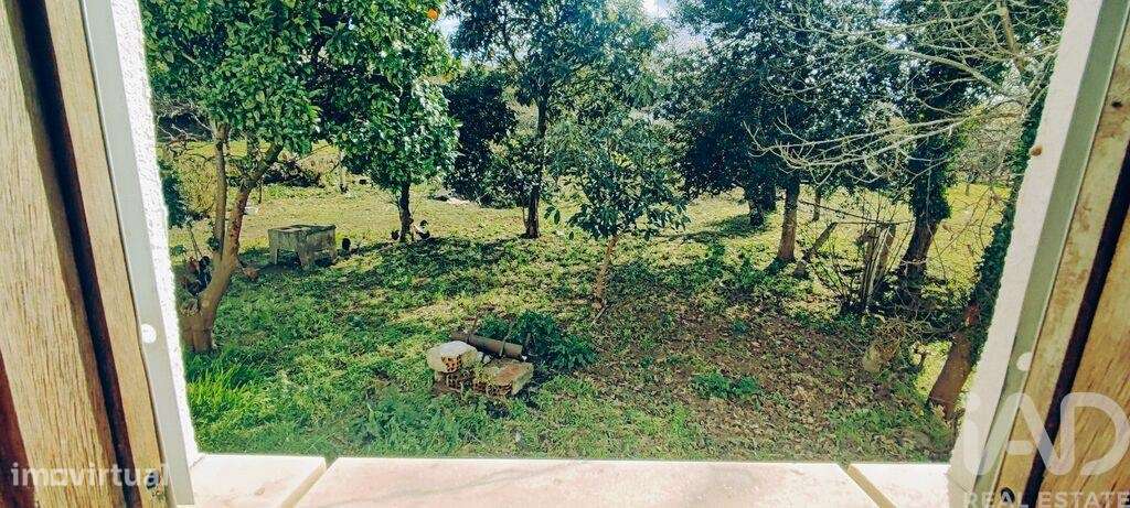 Moradia isolada T4 em Loivo de 262 m2 - Grande imagem: 4/28