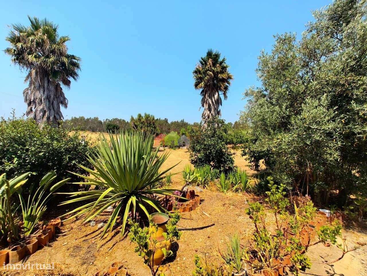 Quinta C/Moradia T2 - Foros de Vale de Figueira-4