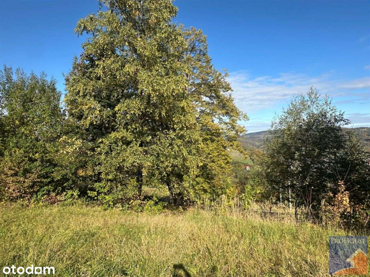 Działka, 1 244 m², Laskowa-6