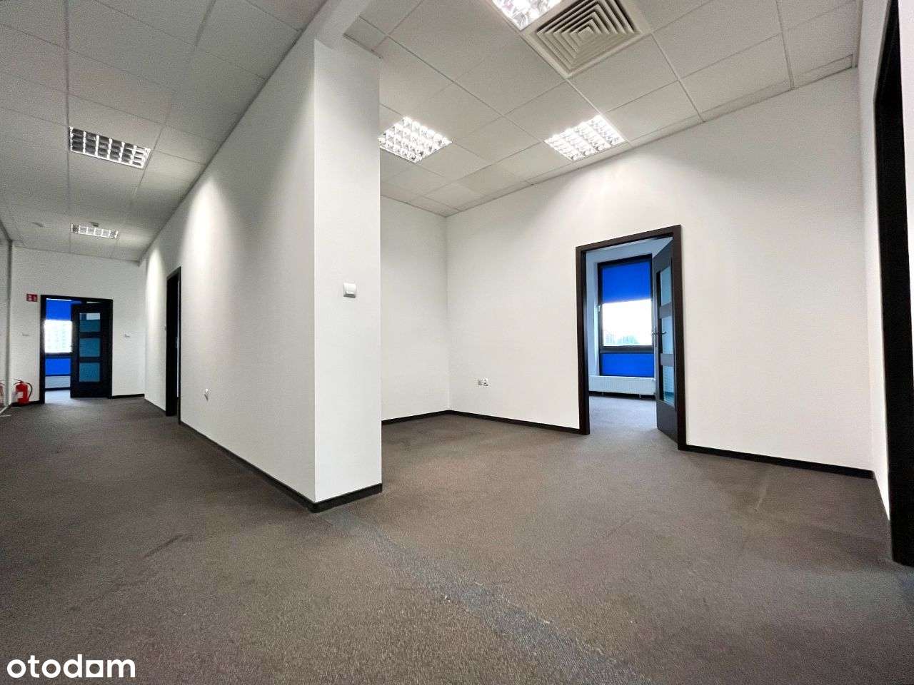 Powierzchnia biurowa w świetnej lokalizacji - Pełny obrazek: 5/12
