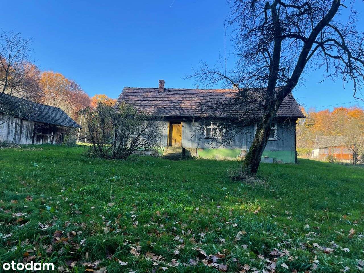 Działka o powierzchni 65 ar w otoczeniu lasu- Hucisko - Pełny obrazek: 3/4