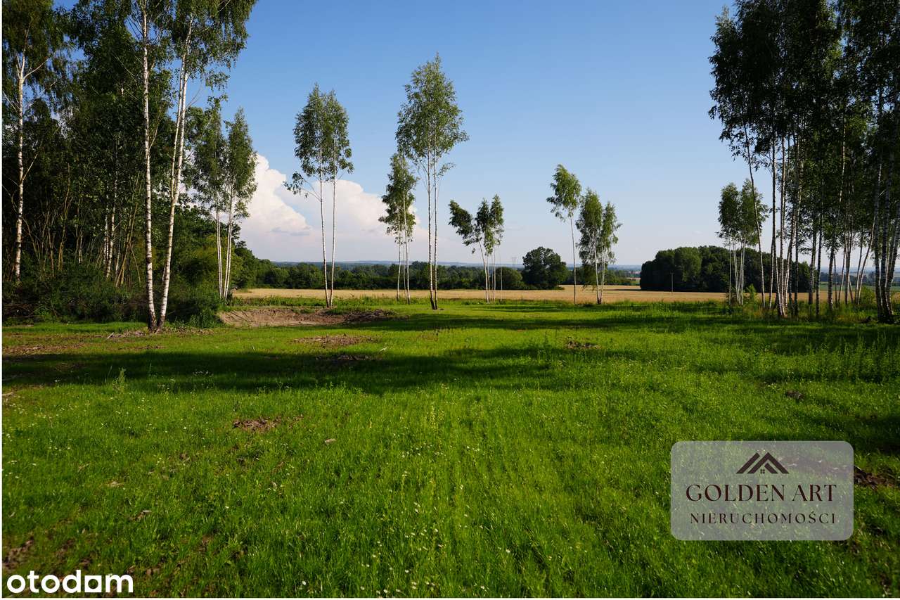 Działka na sprzedaż: Gmina Pasłęk | 5306 m² | WZ | Oczko wodne-7