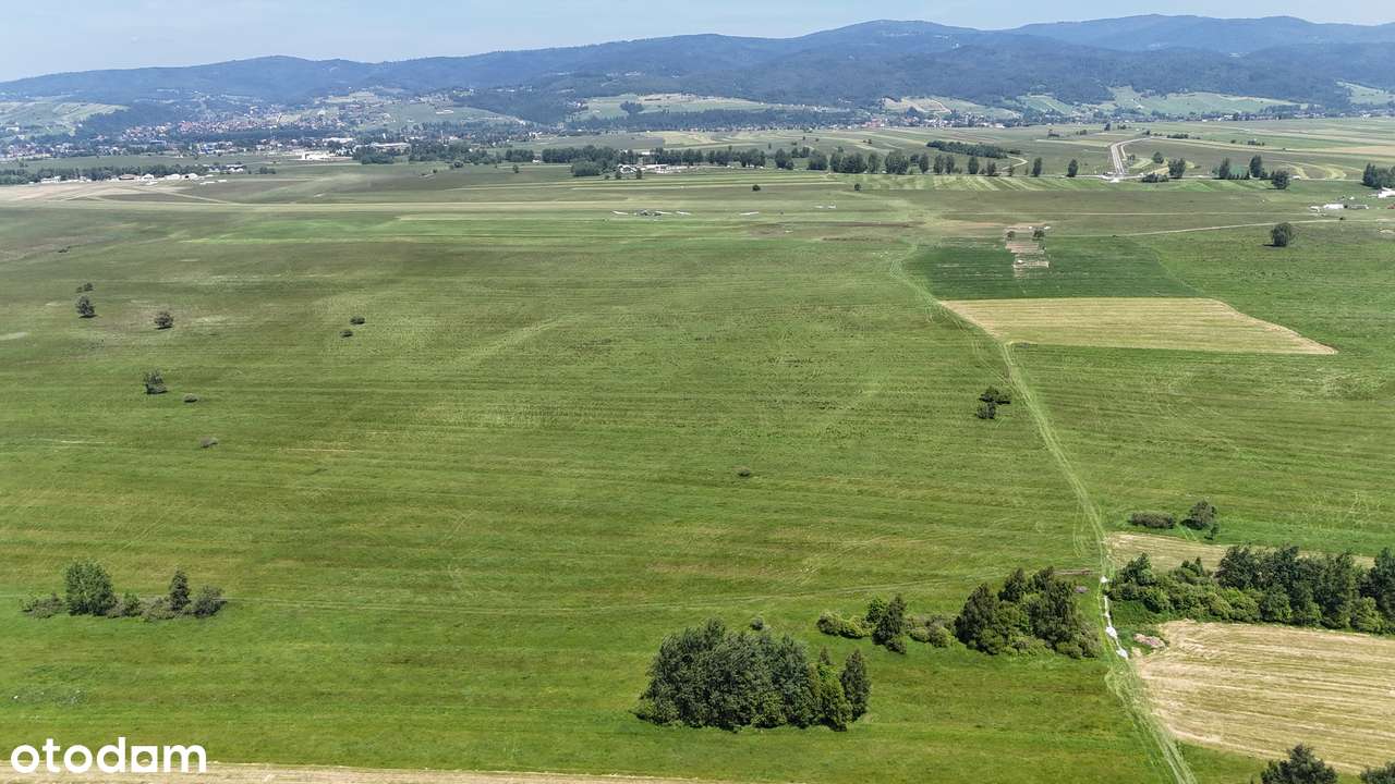 Wyjątkowa lokalizacja przy rezerwacie „Bór na Czerwonem” - Pełny obrazek: 2/3