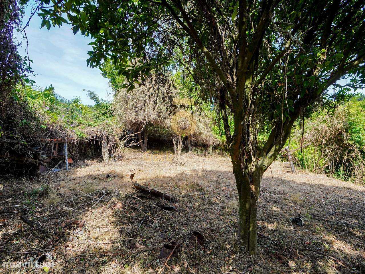 Moradia para Restaurar T2 Venda em Fornelos,Cinfães-11