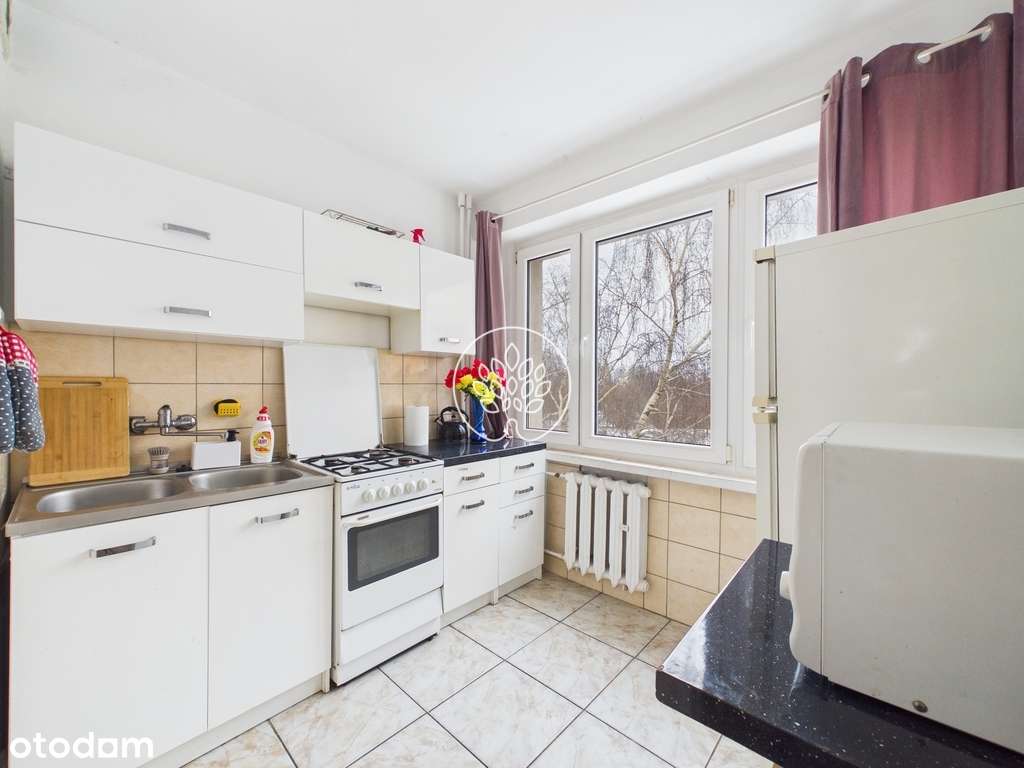 Mieszkanie 4 pokoje z potencjałem–Wzgórze Wolności-3