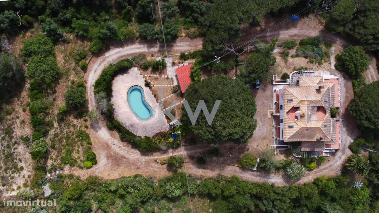 Quinta em Palmela com 2 Moradias e Piscina - Grande imagem: 4/57