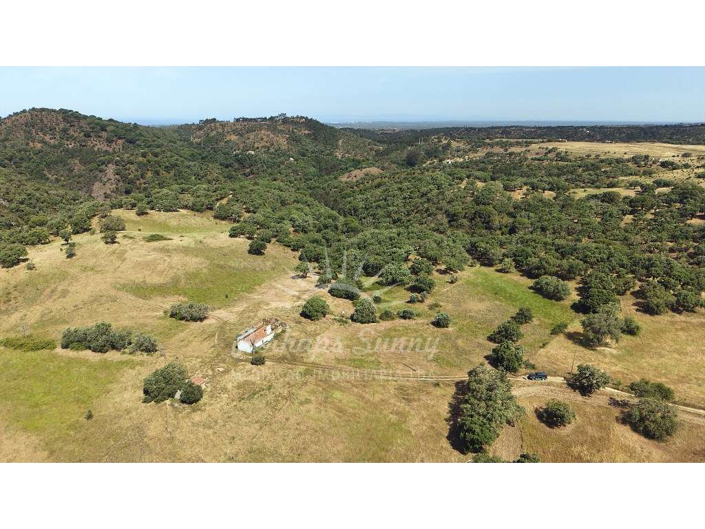 Terreno Misto para construção de Habitação ou Turismo - Melides-19