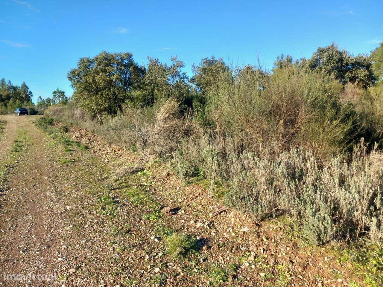 Terreno Rustico em Aranhas - Grande imagem: 4/20