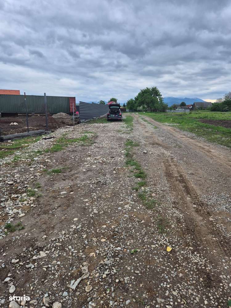 Teren 1450m- Carpinis/Tralungeni, intravilan - Imagine principală: 5/5