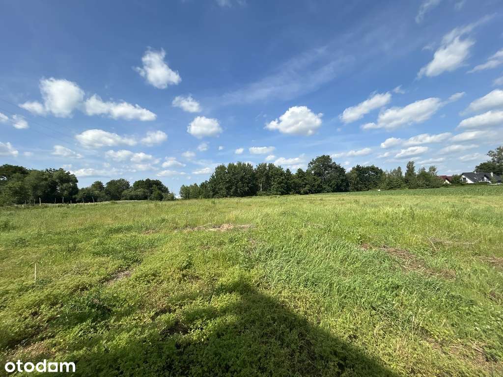 Miejscowość - Dobra. Działka wsród zieleni-6