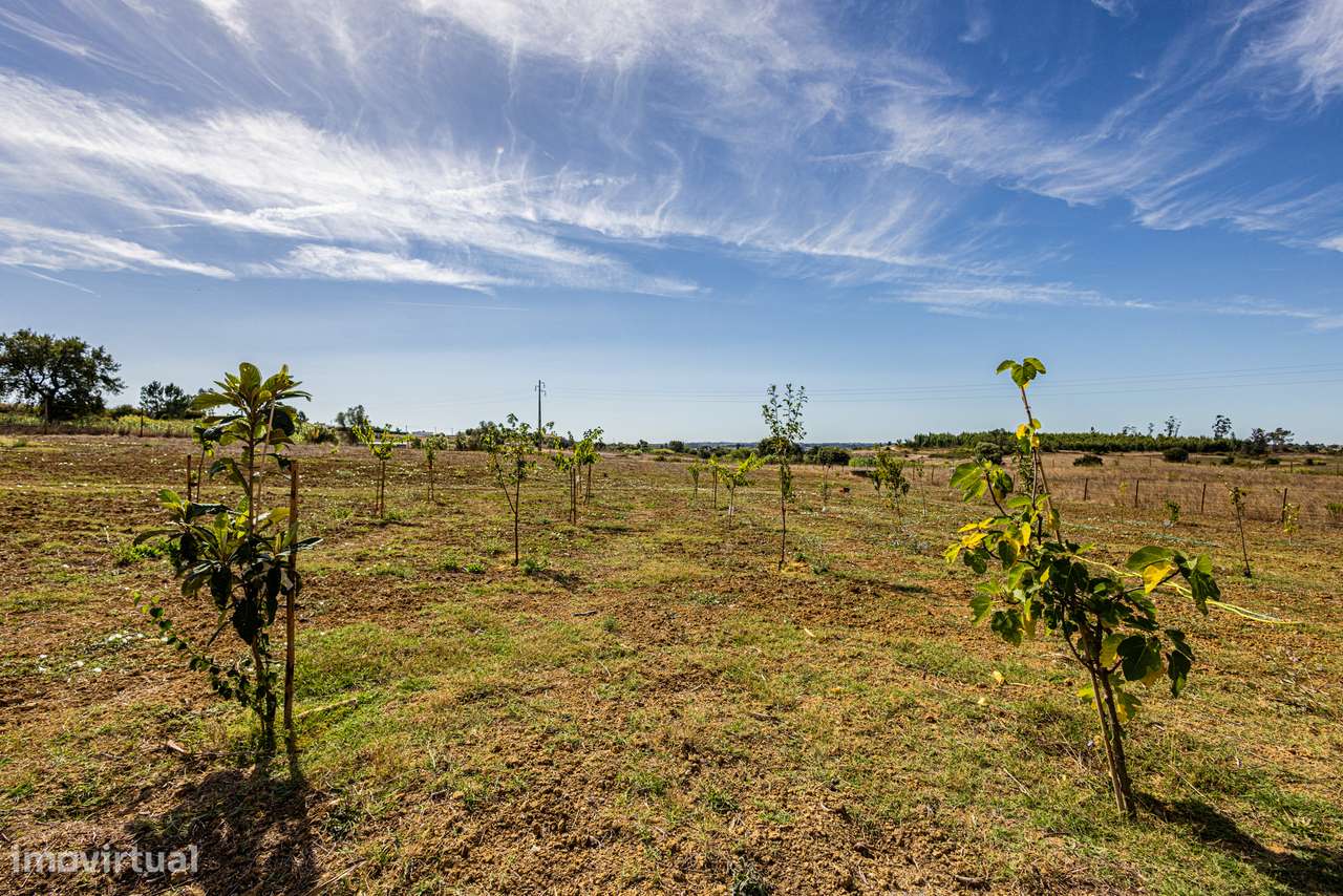 Excelente propriedade com área total de 13 680m2, localizada na Ereira-23