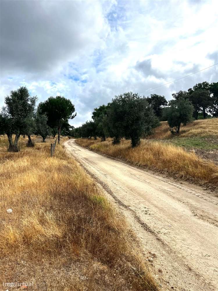 Quinta >=T10 Venda em Cortiçadas de Lavre e Lavre,Montemor-o-Novo-50