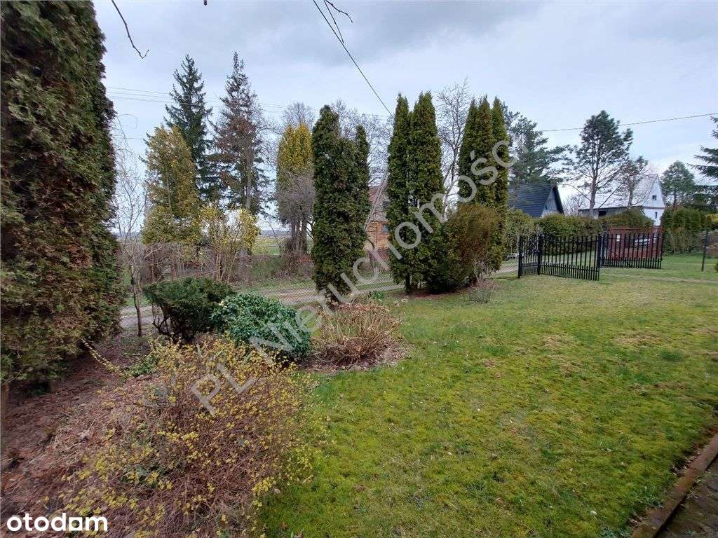 Ekskluzywny Dom Letniskowy - Pełny obrazek: 5/12