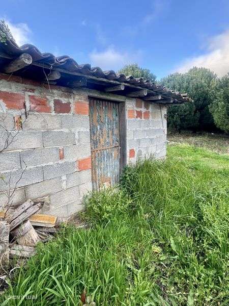 Quintinha com  15.000 m2 - Grande imagem: 3/12