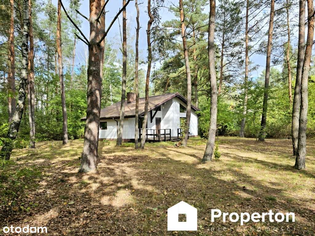 Promocja do 31.12.2025. Dom z kominkiem na 1100m2-8