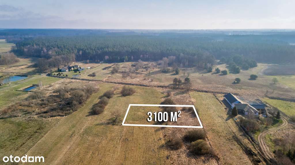 Duża działka 25 min od Szczecina w niskiej cenie. - Pełny obrazek: 5/9