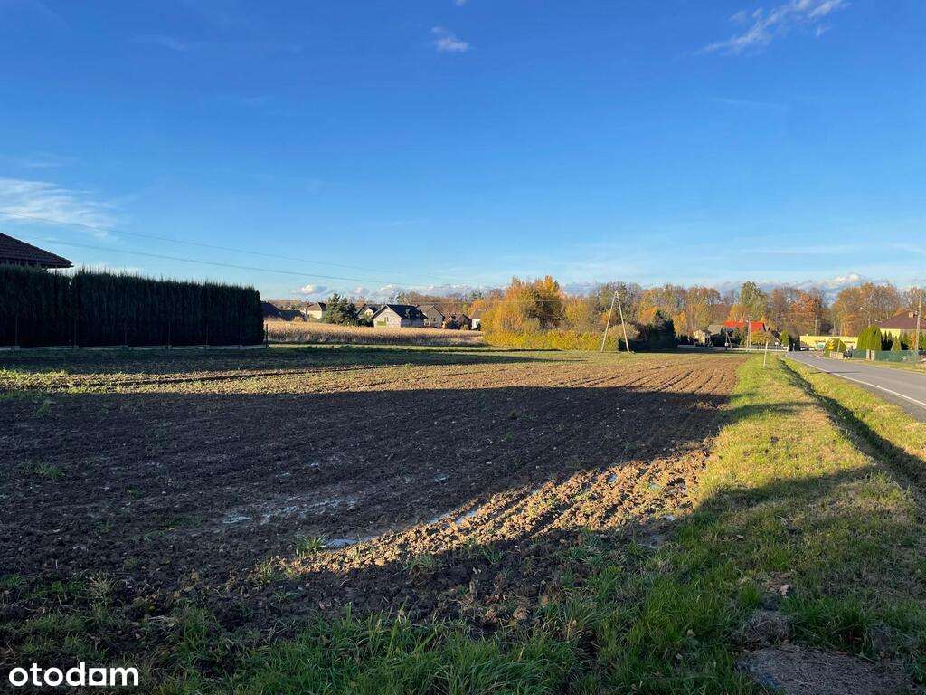 Przestronna,  26 arowa  działka budowlana w Osieku-3
