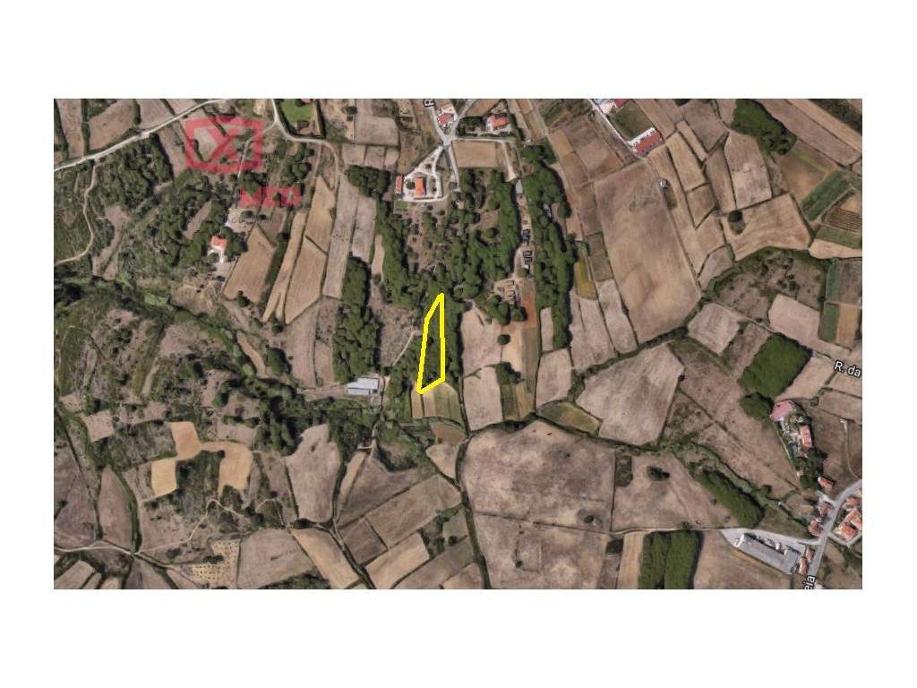 Terreno Rústico - Grande imagem: 5/5