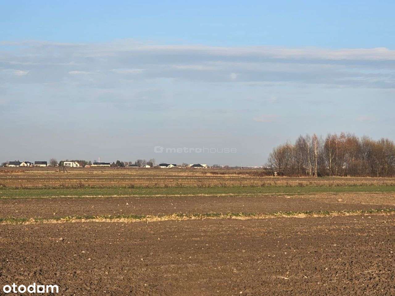 Grunt inwestycyjny 5,2 ha – media, droga, potencjał w gm. Lesznowola. - Pełny obrazek: 5/10