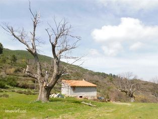 Quintinha / Covilhã, Vila do Carvalho