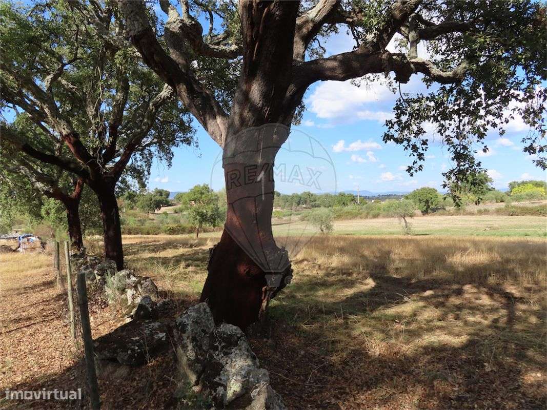 Quinta  para venda - Grande imagem: 3/21