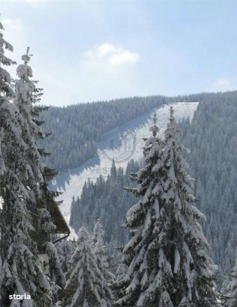 Cabana in Arieseni-2