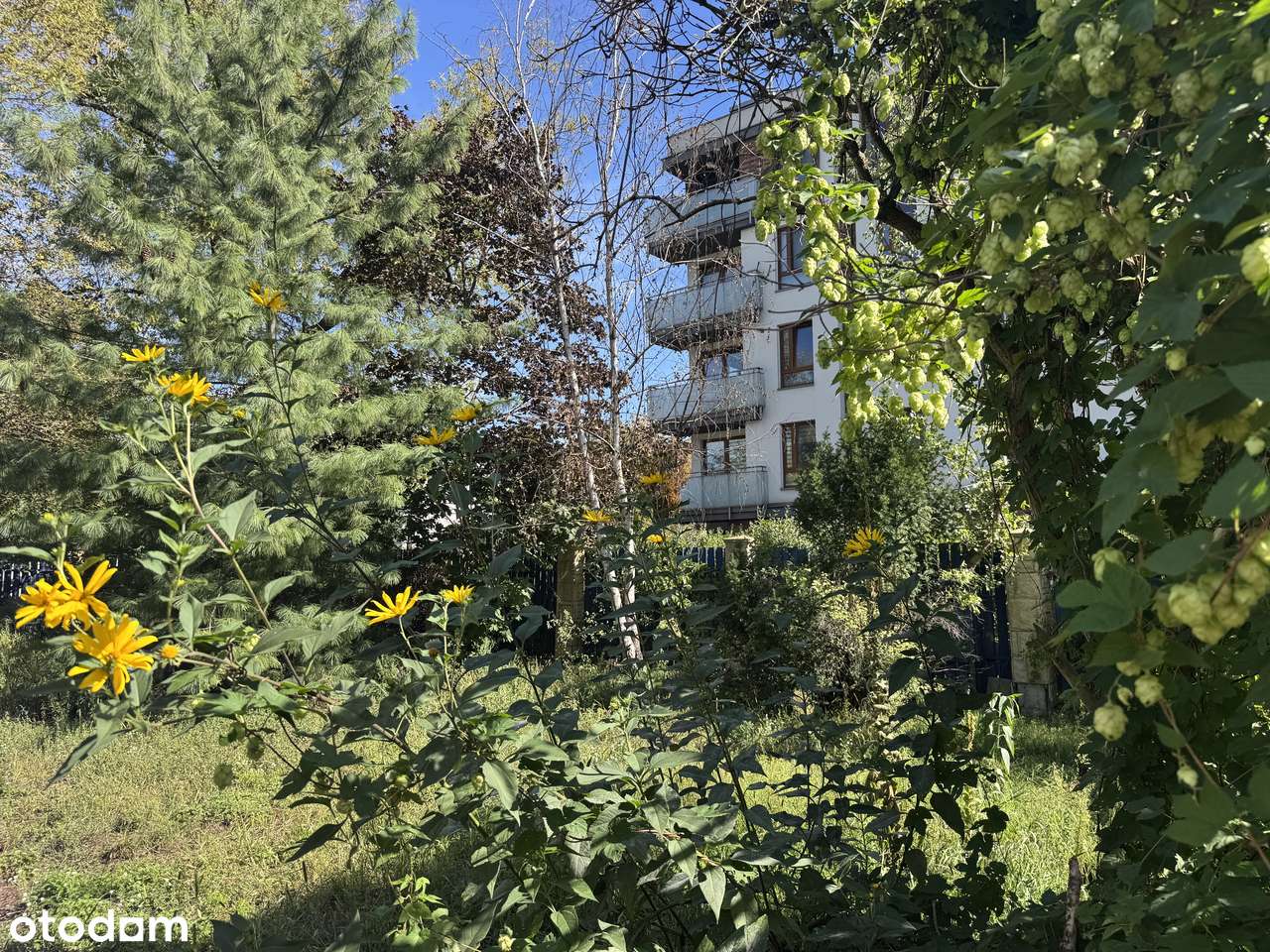 631 m² | DZIAŁKA NAROŻNA | MW(U) | PRAGA-POŁ.| POTENCJAŁ INWESTYCYJNY-9