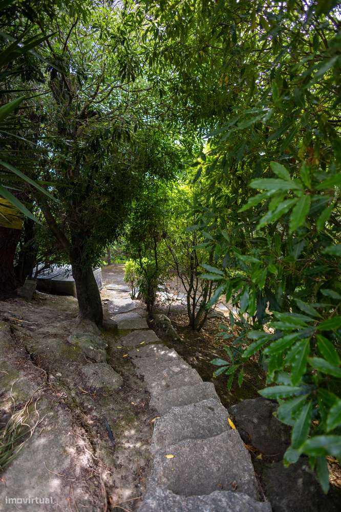 Obra-prima dos anos 70 com potencial ilimitado-26