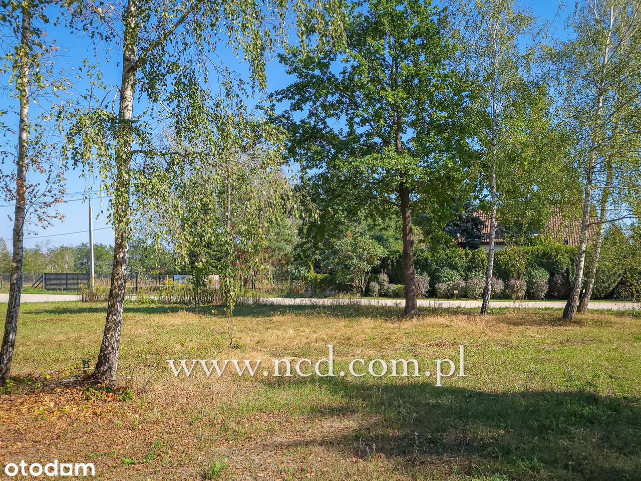 Działka przy lesie w Magdalence z Decyzją P.B. - Pełny obrazek: 4/5