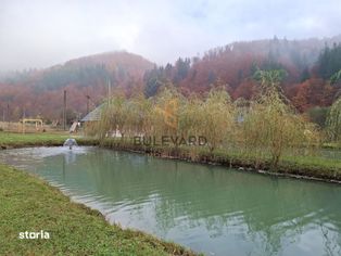 Proprietate cu potențial turistic în zona montană a Țării Lăpușului - Imagine principală: 4/20