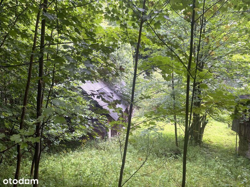 Wisła Jawornik-gospodarstwo rolne o pow. 6,5 ha