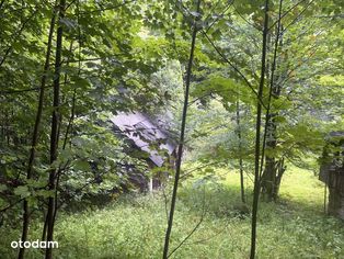 Wisła Jawornik-gospodarstwo rolne o pow. 6,5 ha