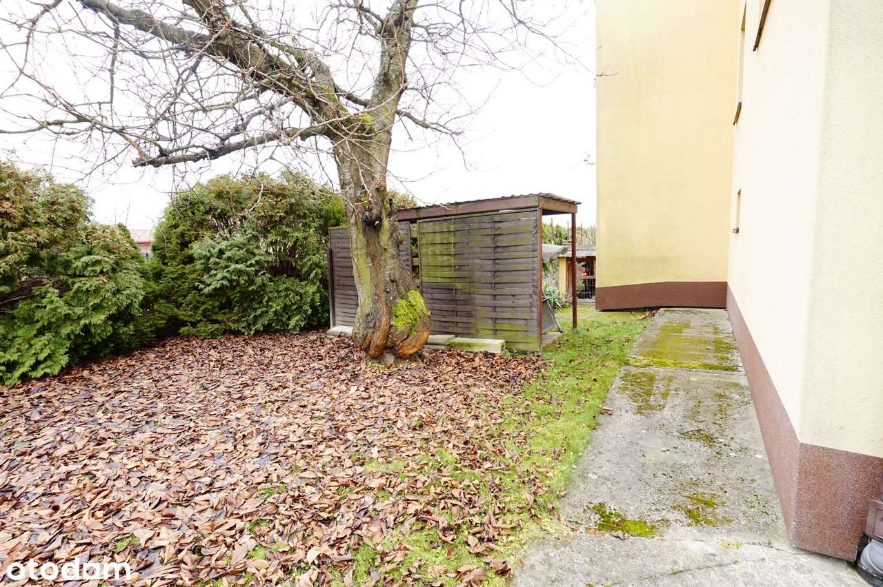 2 wejścia/idealny jako dwurodzinny lub pod wynajem-19